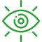 Vision Icon